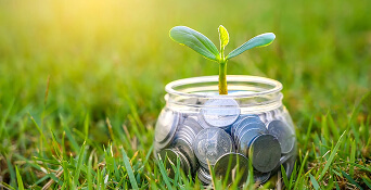 Resident Foreign Currency Deposit Account (RFCD)