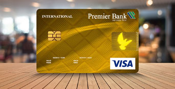 Visa Gold Credit Card