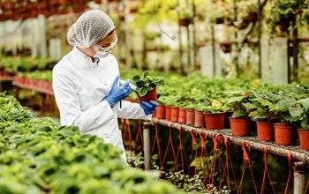 Refinance Scheme for Agro-Based Product